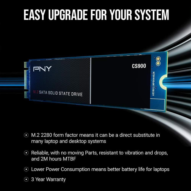 اس اس دی اینترنال پی ان وای مدل PNY CS900 ظرفیت 250 گیگابایت