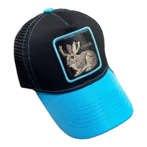 کلاه کپ مدل پشت تور