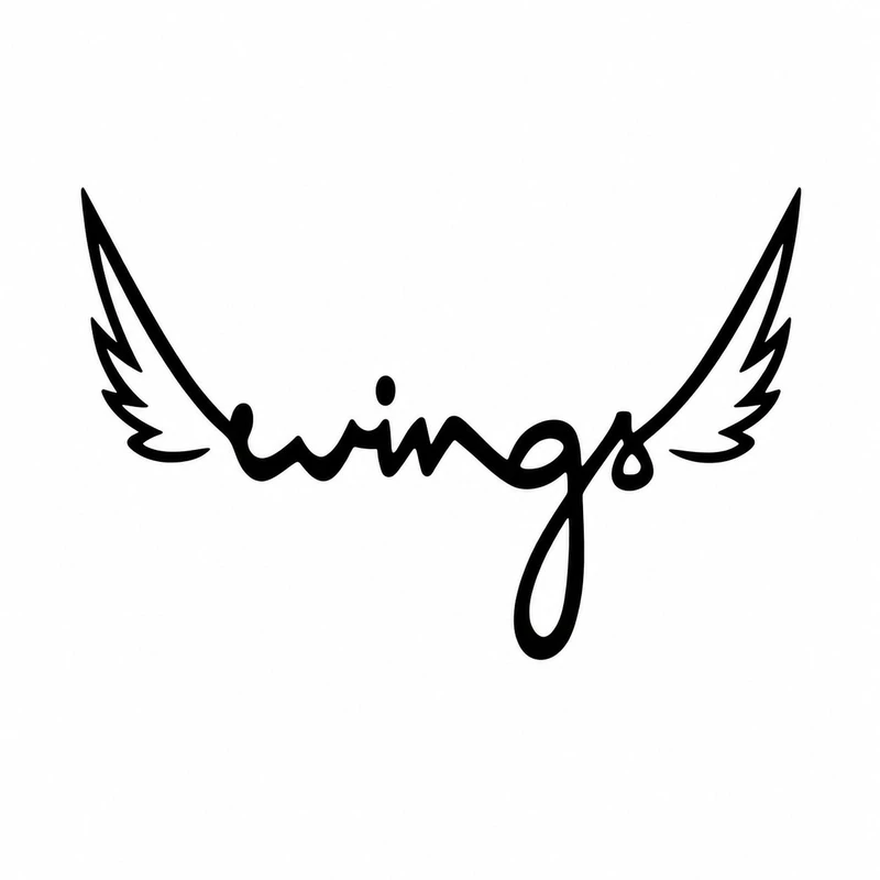 برچسب بدنه خودرو سولگی طرح Wings کد M263