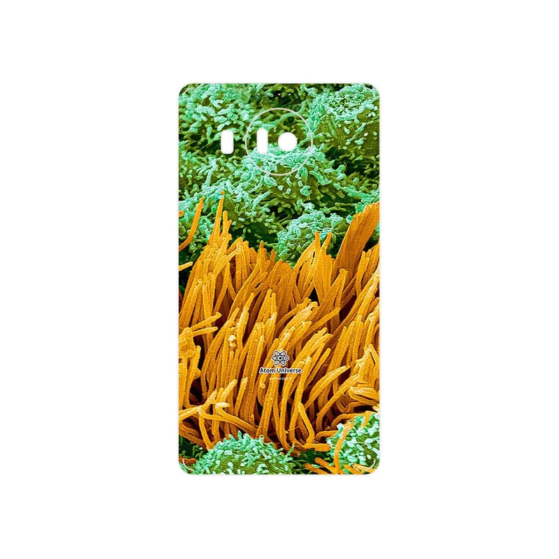 برچسب پوششی ماهوت مدل Atom Universe 6 مناسب برای گوشی موبایل مایکروسافت Lumia 950 XL