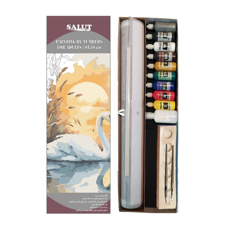 بسته رنگ آمیزی سالوت مدل آکرولیک کد 031011 مجموعه 18 عددی
