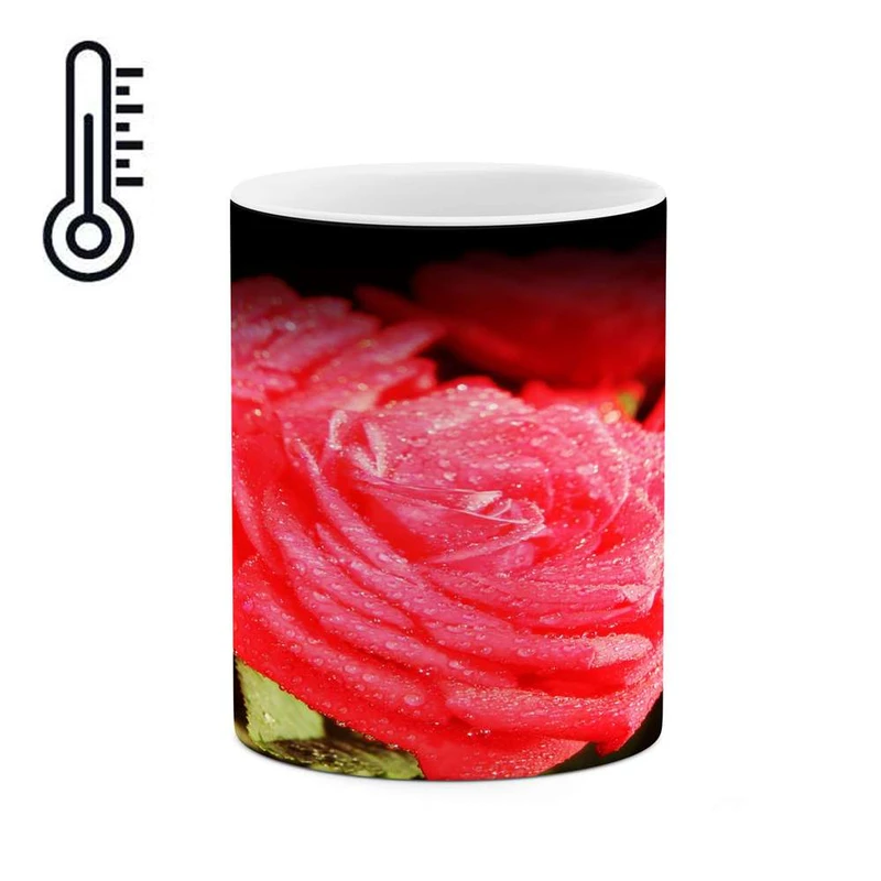 ماگ حرارتی کاکتی مدل گل رز کد mgh18065