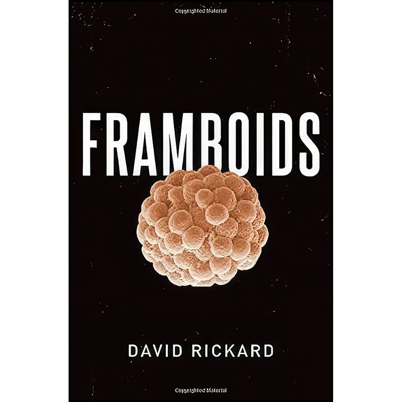 کتاب Framboids اثر David Rickard انتشارات Oxford University Press