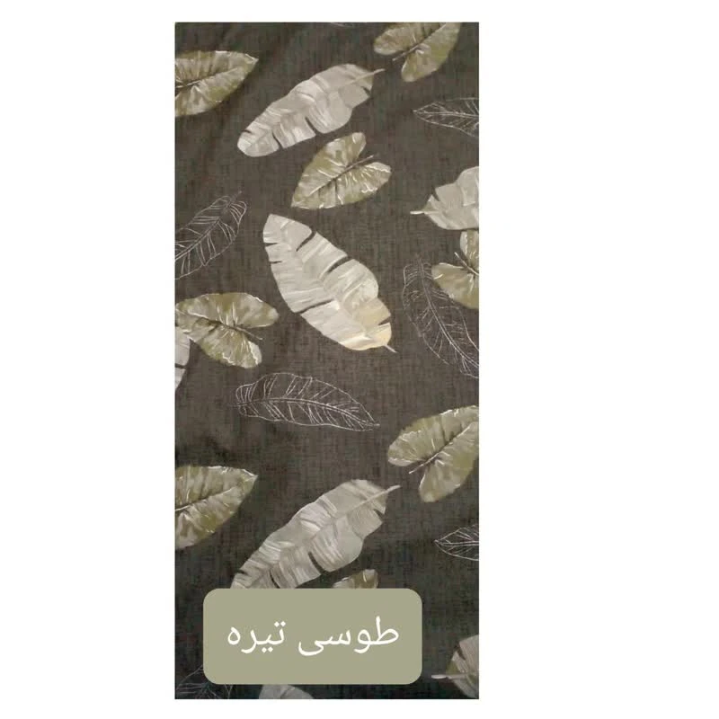 عکس شماره 2