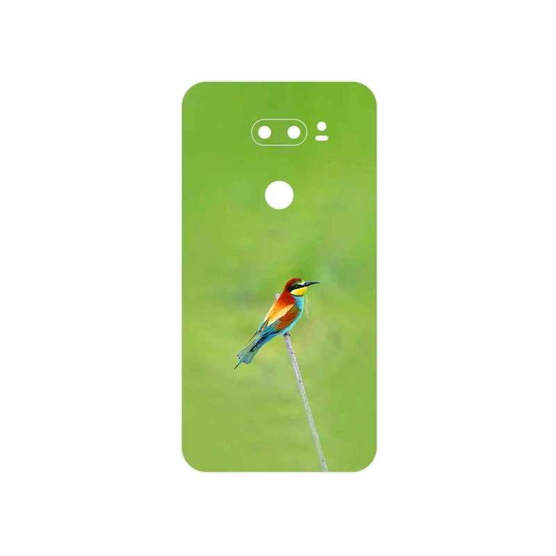 برچسب پوششی ماهوت مدل European bee-eater مناسب برای گوشی موبایل ال جی V30