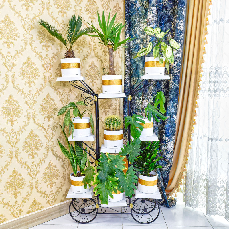 استند گلدان دکومرآت مدل سرو استند گلدان دکومرآت مدل سرو