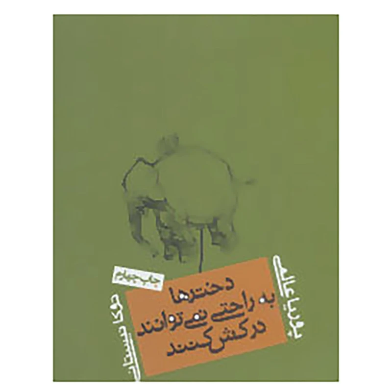 کتاب دخترها به راحتی نمی توانند درکش کنند اثر پوریا عالمی
