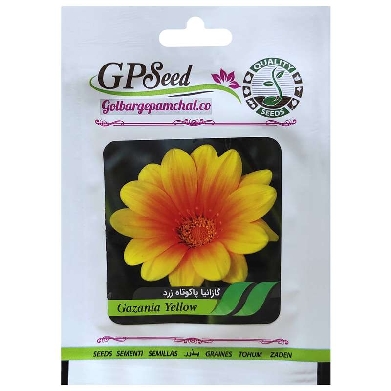 بذر گل گازانیا پاکوتاه زرد گلبرگ پامچال کد GPF-260