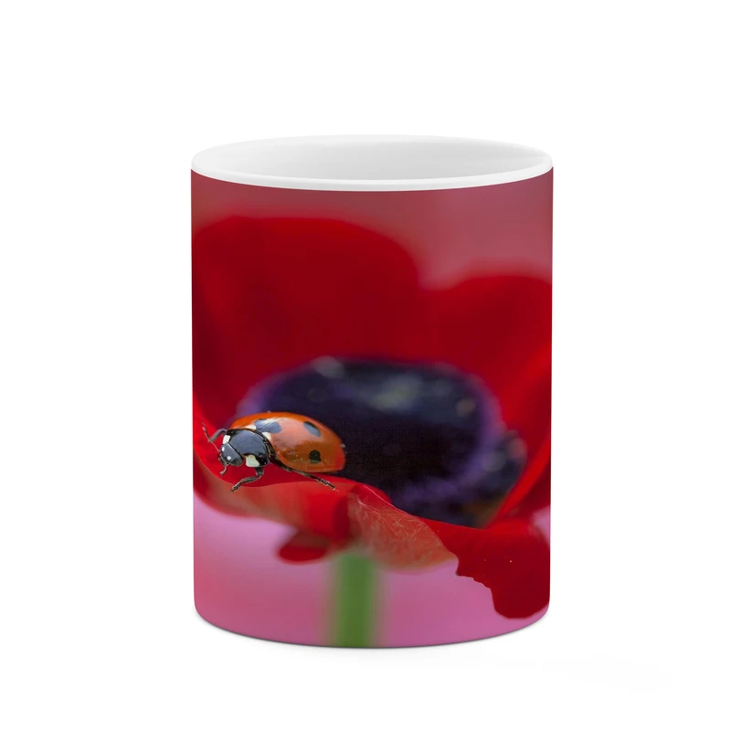 ماگ کاکتی مدل کفشدوزک کد mgh17698