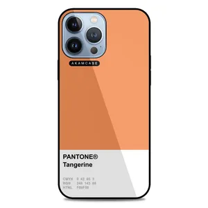 AKAM AMC-WA13PROMAX-PANTONE-11 Cover For Apple iPhone 13 Pro Max
