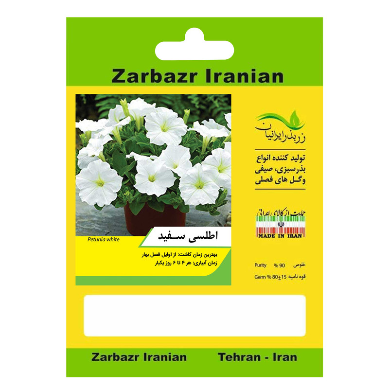 بذر گل اطلسی سفید زربذر ایرانیان کد ZBP-61