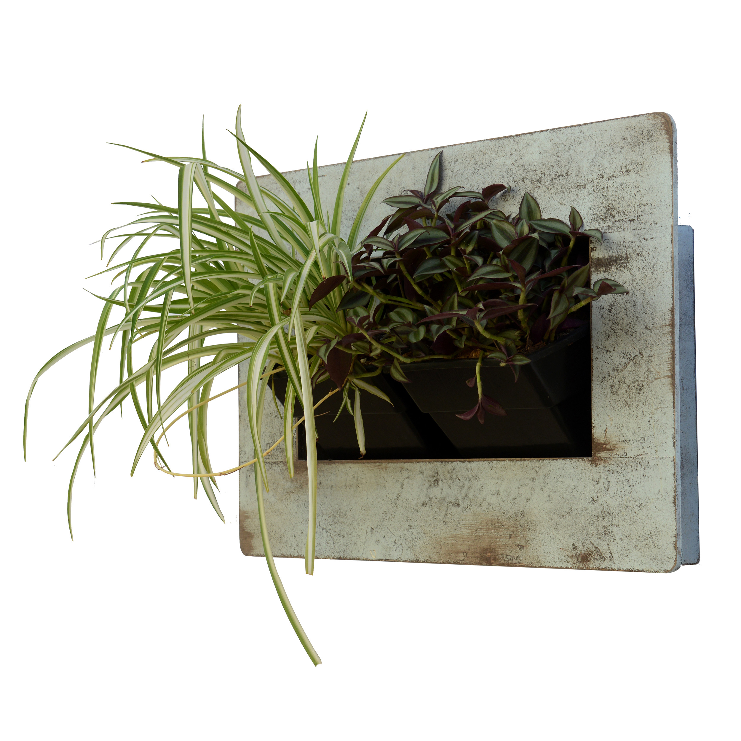 گلدان دیواری طرح قاب گیاهان طبیعی مدل L2 بسته 2 عددی