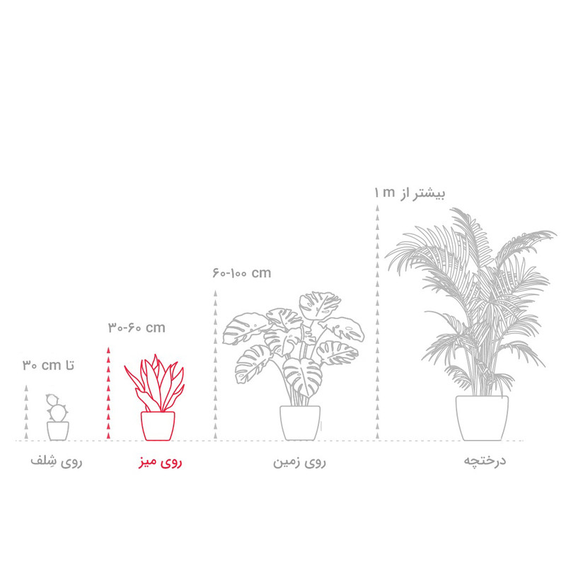 گیاه طبیعی کروتون ابلق گلیتال مدل GTL141