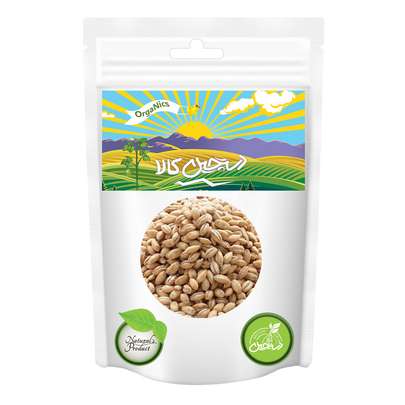 جو برای کبوتر مفید است؟