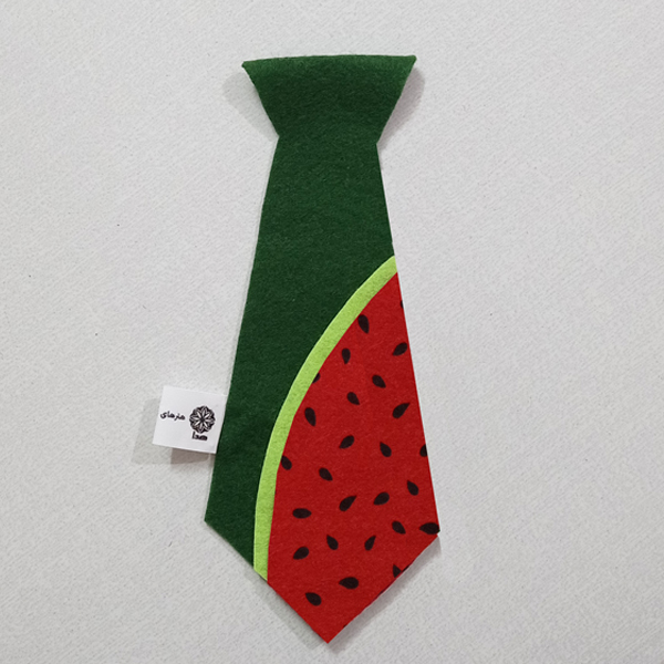 کراوات پسرانه هدا مدل 009