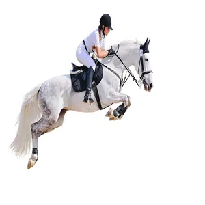 پوستر دیواری سه بعدی مدل اسب سوار کد DVRF1891