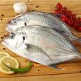 استیک ماهی مقوا سفید تازه - 2000 گرم