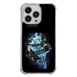AKAM AMCWTA13PRO-HARRY POTTER2 Cover For Apple iPhone 13 Pro