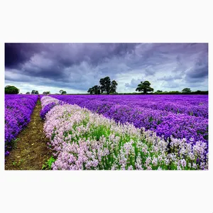 فرش پارچه‌ای مدل فرشینه طرح باغ گل های بنفش کد AR3058742