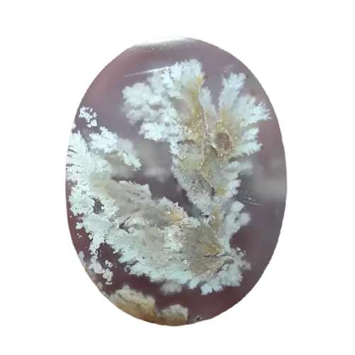 سنگ عقیق شجر کد 17