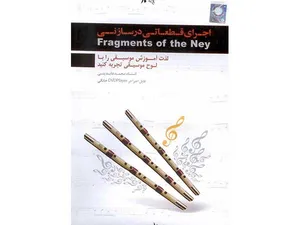 آموزش تصویری نی