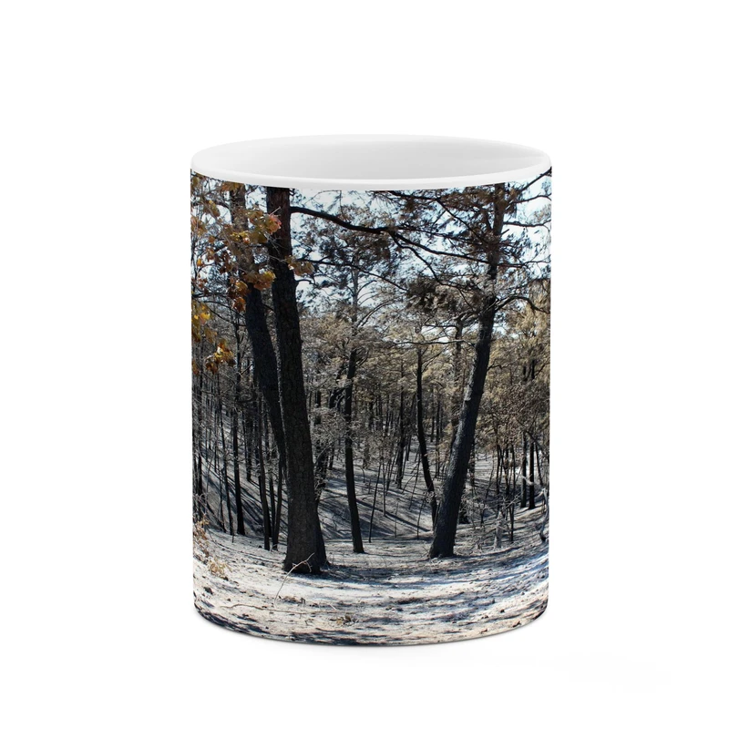 ماگ کاکتی مدل منظره کد mgh17745