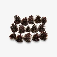 میوه تزیینی مدل میوه درخت کاج کد GB 015 بسته 15 عددی