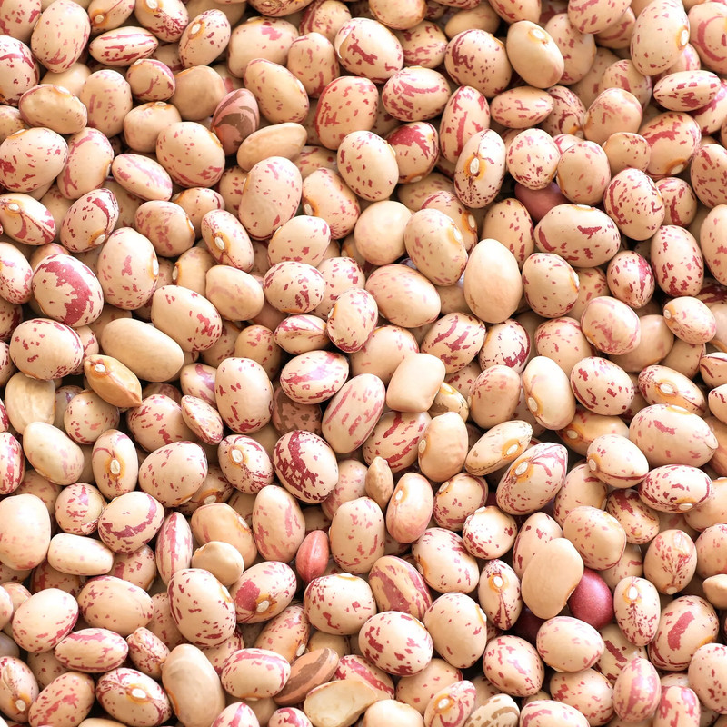 لوبیا چیتی شالی کاری - ۹۰۰ گرم