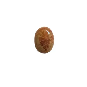 سنگ مرجانی کد 013