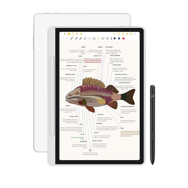 تبلت گرافیکی با صفحه نمایش  10.96 اینچ ایکس پی-پن مدل Magic Note Pad MNP1095