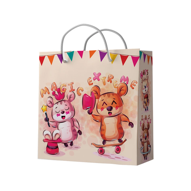 ساک دستی  کد 10481 بسته 12 عددی