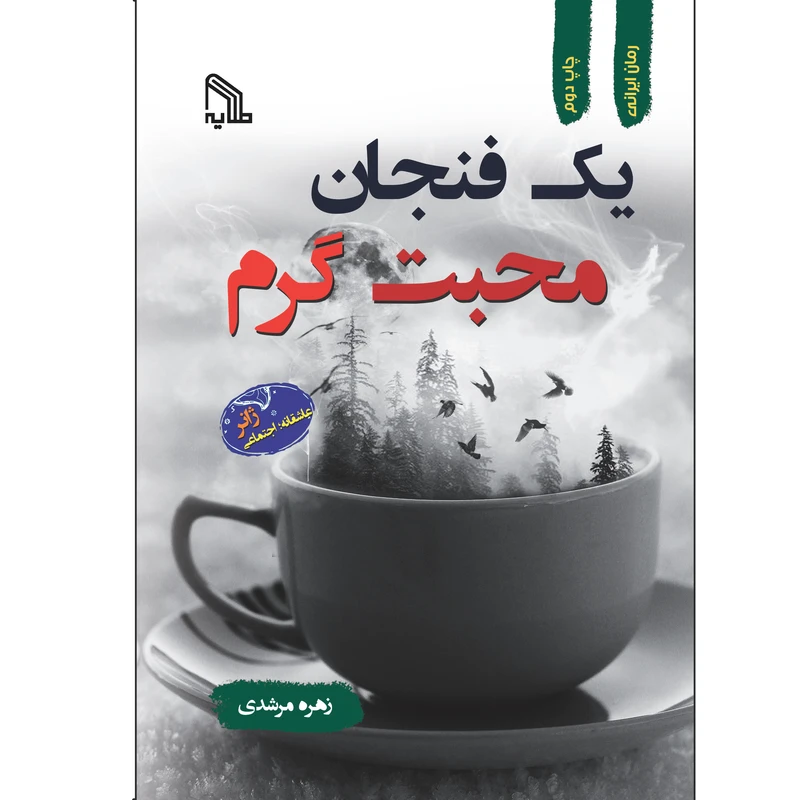 کتاب یک فنجان محبت گرم اثر زهره مرشدی انتشارات طلایه