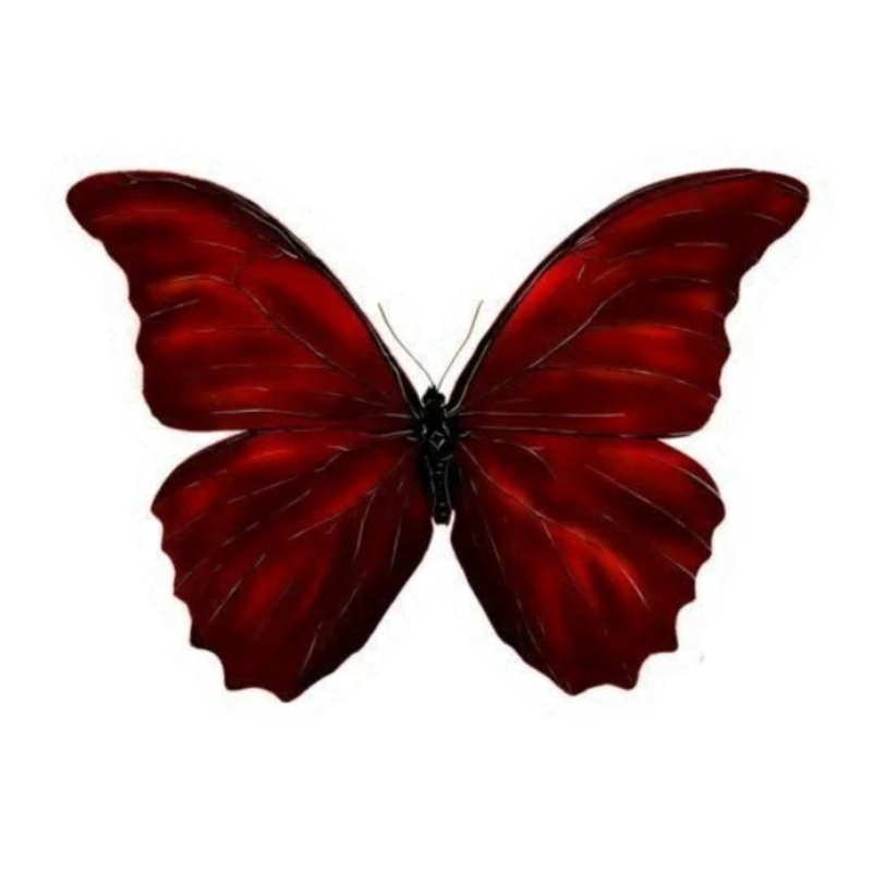 استیکر پارچه و لباس پاد آفرین مدل پروانه کد 4871