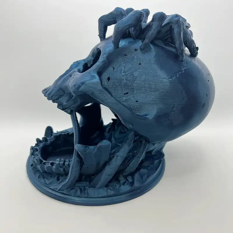 مجسمه مدل اسکلت و عنکبوت