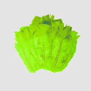پر دریم کچر مدل SBF45 بسته 20 عددی