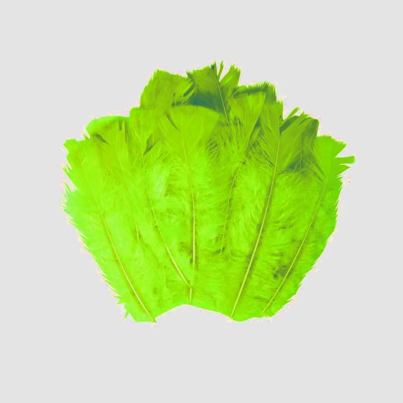 پر دریم کچر مدل SBF45 بسته 20 عددی