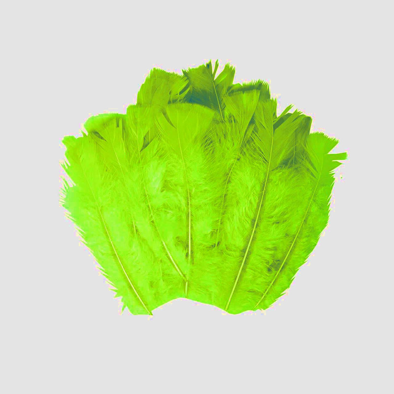 پر دریم کچر مدل SBF45 بسته 20 عددی