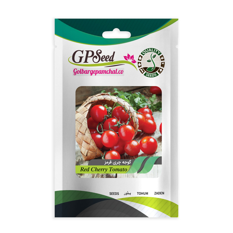بذر گوجه چری قرمز جی پی سید مدل GP1944