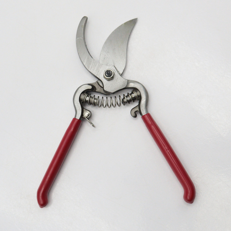 قیچی باغبانی تیوان مدل YP-S290-200MM سایز 8 اینچ