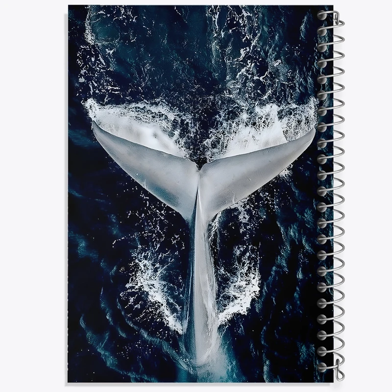 دفتر مشق 100 برگ خندالو طرح وال کد F1313