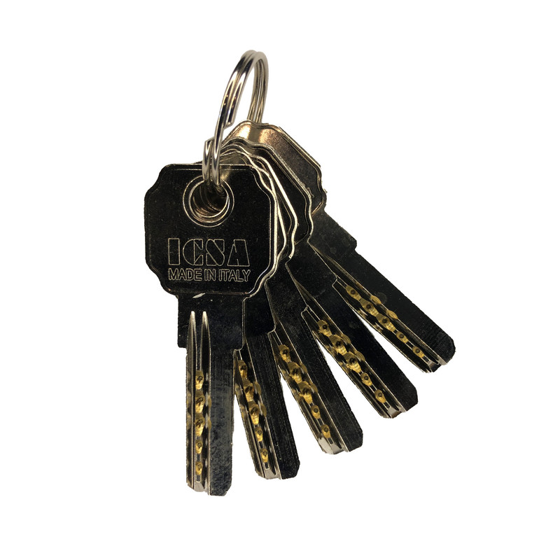 سیلندر قفل ایسیزا کد HS5