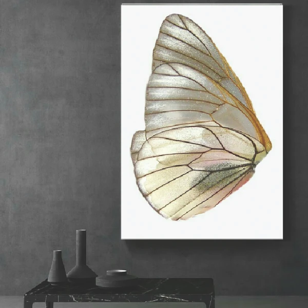 پوستر دیواری طرح پروانه کد TFP477