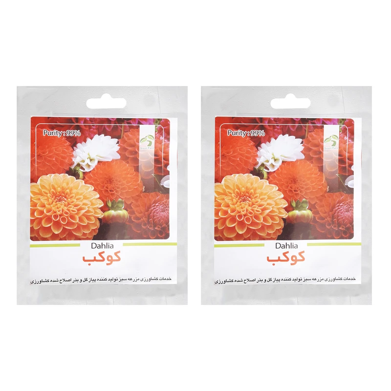 بذر گل کوکب گرین فارم کد LK2 بسته 2 عددی