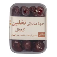 خرما گنتال نخلین - ۴۰۰ گرم