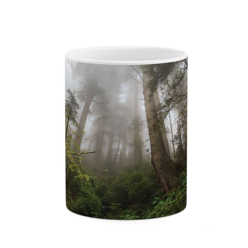 ماگ کاکتی مدل جنگل کد mgh10152