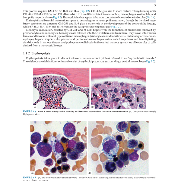 قیمت و خرید کتاب Atlas Of Hematopathology اثر Faramarz Naeim انتشارات ...