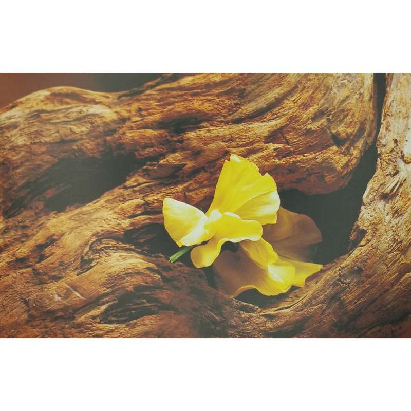 کارت پستال مدل Flower