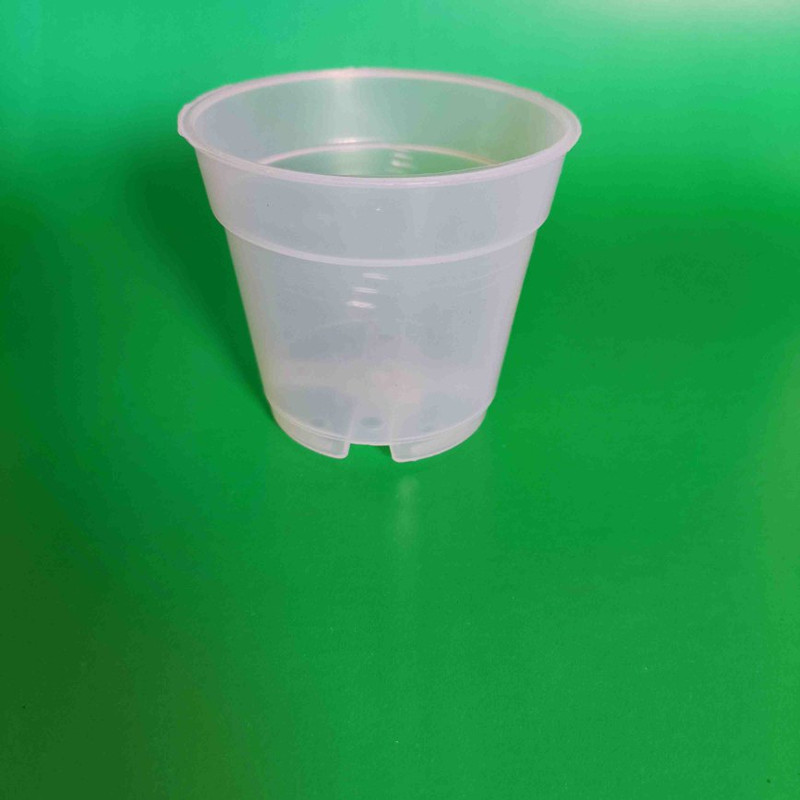 گلدان مدل شفاف ارکیده بسته 20 عددی