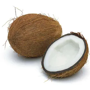 نارگیل درجه یک - 550 گرم