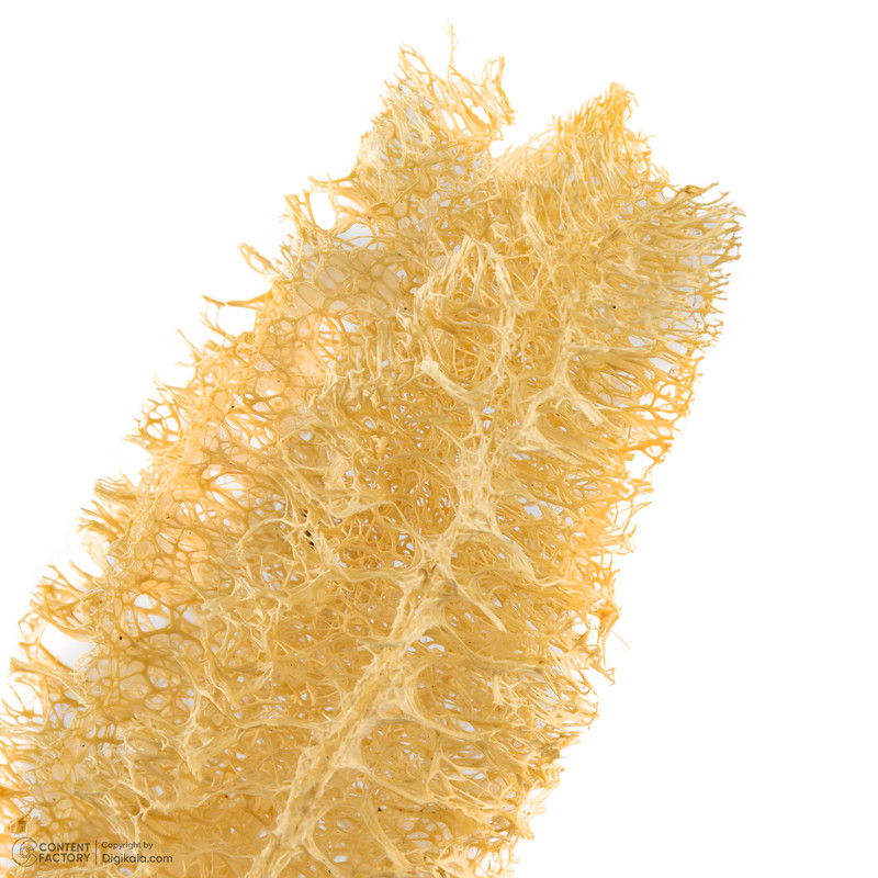 موگیر و پرزگیر لباسشویی لوفا هماسان مدل وگان کدT300 - بسته 3 عددی